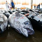 Feira do Fumeiro está de regresso a Vieira do Minho