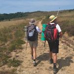 “Mãe, preciso de dinheiro”. GNR faz (novo) alerta a burlas pelo WhatsApp