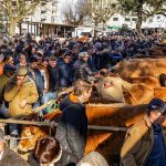 Lançado polo regional do New European Bauhaus liderado pela Universidade de Coimbra