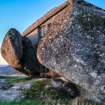 Há um novo vinho biológico português que tem mesmo de provar