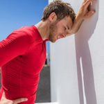 Valença recebe o Festival Gastronómico ‘Novos Sabores da Lampreia’