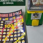 Gato cego resgatado “em segurança” após três dias preso numa árvore em Famalicão