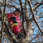 Queixas por violência no namoro sobem 10% em 5 anos