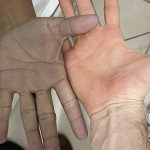 Benefícios que o vão convencer a comprar sementes de chia mais vezes