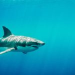 Percursos pela Arte e Património de Braga convidam à descoberta da cidade