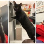 Bairro de Santa Tecla em Braga ganha mural gigante colorido