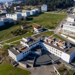 Despiste de camião que levava vacas cortou A7 em Vila Nova de Famalicão