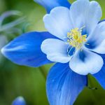 Decorrem buscas após homem ter sido visto a cair no rio Cávado