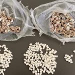 Inaugurada Brigada Verde da União de Freguesia de Briteiros São Salvador e Briteiros Santa Leocádia