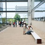 O potencial das células estaminais no combate ao cancro da próstata