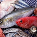 Terras de Bouro em destaque na BTL-Bolsa de Turismo de Lisboa