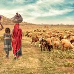 Henrique Monteiro deu conferência em Vila Verde