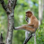 Autarquia obrigada a devolver herança de mulher que morreu em 1966