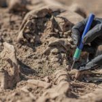 Quinta Pedagógica de Braga volta a desenvolver programa de férias de Verão