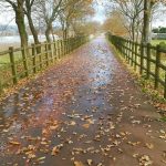 Acidente com 6 viaturas corta A7 e há vítimas encarceradas