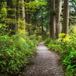 Artistas ucranianas terminam em Braga residência artística com documentário