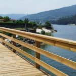 Campanha de Vacinação Antirrábica e identificação eletrónica em Vila Verde