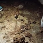 Criminalidade geral aumentou em Braga, Barcelos, Famalicão e Guimarães