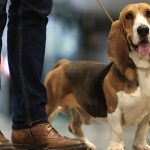 Rally Spirit estacionou em Vila Verde