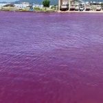 Avião aterra nos EUA sem trem de aterragem dianteiro