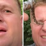 Startup desenvolve aparelho para antever desmaios, tonturas ou confusão