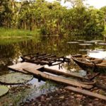 Australiano (e a sua cadela) resgatados após 2 meses à deriva no Pacífico