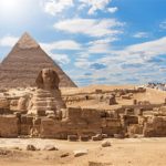 Urso invade quintal e ataca homem e cão nos EUA