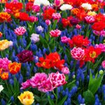 dstgroup torna-se a primeira empresa na Europa a adquirir simulador para formar trabalhadores