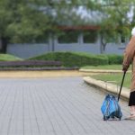 Cão resgatado de poço de 6 metros em Arcos de Valdevez