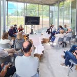 Programa CED efetuou 1.600 esterilizações de gatos de rua desde 2018 em Braga