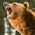 É por esta razão que está a acordar sempre com os olhos vermelhos