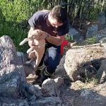 SC Braga quer aproveitar fator casa diante do Panathinaikos