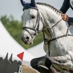 Cinco coisas que devia fazer antes de tomar o primeiro café do dia