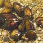 Candidaturas ao Programa Acessibilidades 360º em Braga decorrem até 11 de Setembro