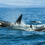 Nem imagina as maravilhas que as férias fazem pela sua vida profissional