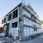 Diabetes não afeta só humanos e veterinária explica como detetar sinais em cães e gatos