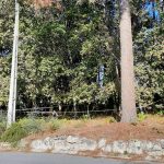 Homem detido em Cabeceiras de Basto por violência doméstica