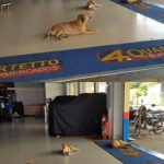 15 castelos e palácios mais bonitos da Europa – há dois portugueses