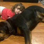 Apenas 1 em cada 6 populações de peixes forrageiros está saudável”