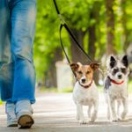 AEBraga integra rede global de 12 mil câmaras de comércio