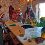 Comprar casa ficou 1,2% mais caro em maio