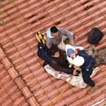 Lave sempre as mãos depois de mexer nestas oito coisas. Podem ser tóxicas