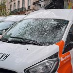 Alterações no tamanho das espécies podem ter impacto significativo