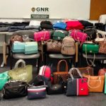 Plataforma +Cidadania disponível neste novo ano letivo em Guimarães