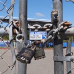 Proteção Civil de Vila Verde destruiu 638 ninhos de vespa velutina ao longo do ano 2025