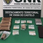 Braga reduz utilização de água da rede pública na rega dos jardins