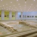 Quinta Pedagógica de Braga assinala ‘Semana do Animal’