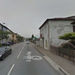 Dona reencontra gata desaparecida há 11 anos