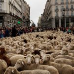 Bebé recém-nascida encontrada morta em caixote do lixo