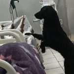 Suba este número de degraus todos os dias. O seu coração agradece